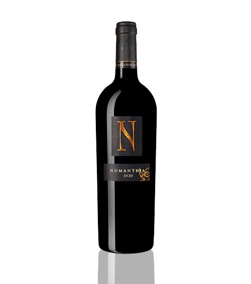 Bodega Numanthia 2020